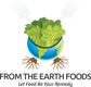 From the Earth Foods